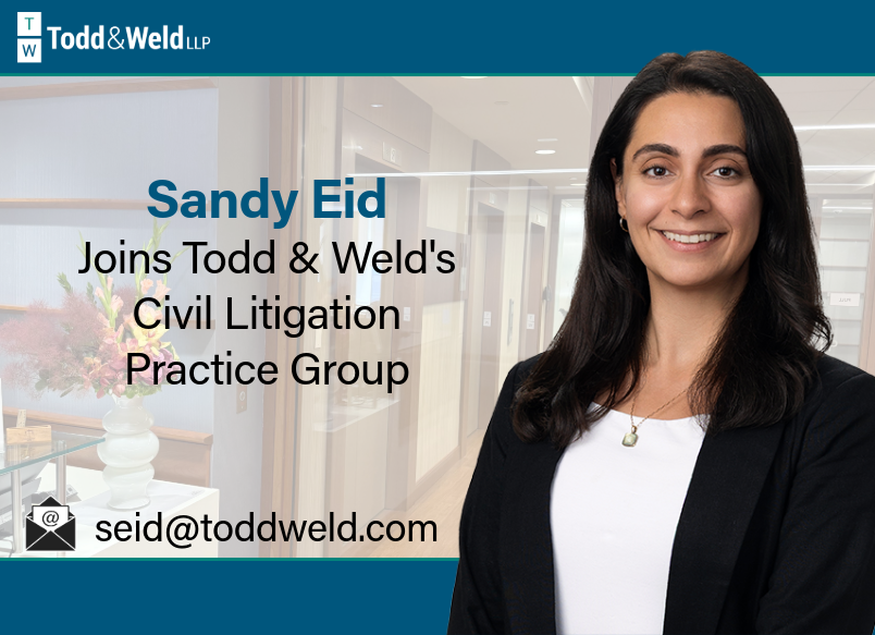 Sandy Eid Joins Todd & Weld's Civil Litigation Practice Group